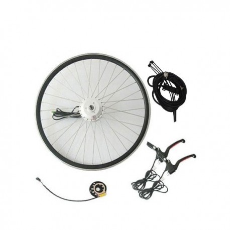 Q100 36V350W Front E-Bike Whole Kit