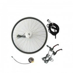 Q100 36V350W Rear E-Bike Whole Kit