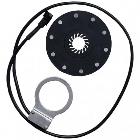 Ten poles PAS--Pulse Padel Assistant Sensor