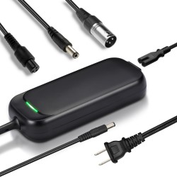 36V 2A 3-Plug Lithium...